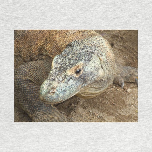 Komodo Dragon by kirstybush